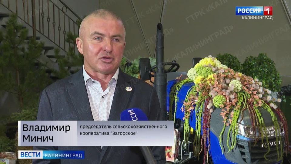 Несмотря на сложные погодные условия, Калининградская область в этом году собрала рекордный урожай зерновых за всю историю региона