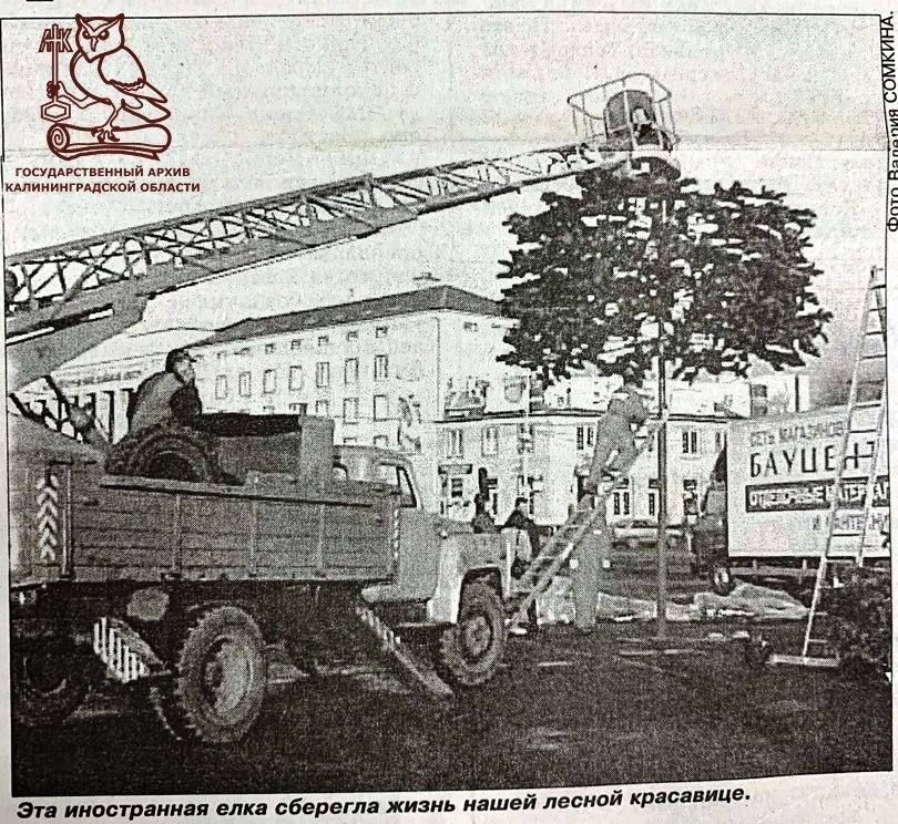 В декабре 2000 года на площади Победы в Калининграде впервые установили искусственную новогоднюю ёлку