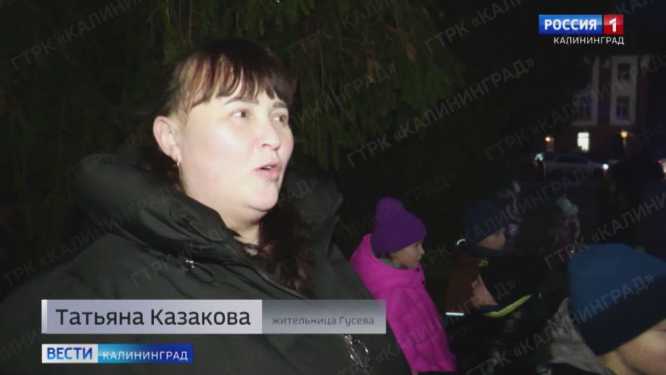 Натуральная лесная красавица украсила площадь города Гусева