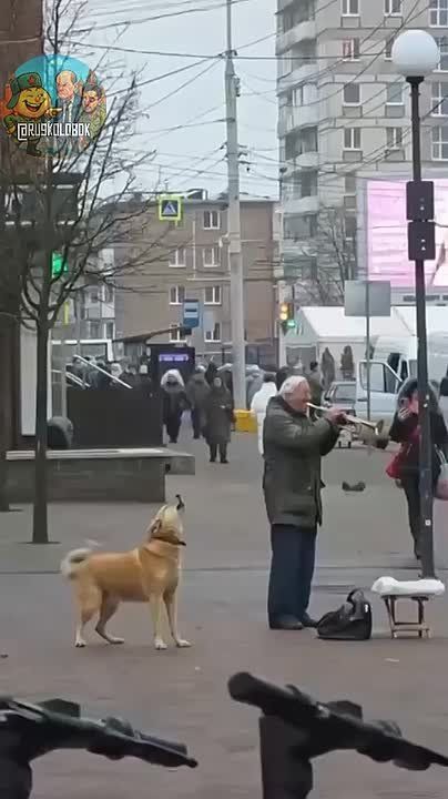 Музыкальный дуэт прямиком с калининградских улиц вам в ленту