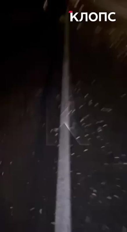 «На нас неслись фары»: очевидец смертельного ДТП на Люблинском шоссе рассказал, как спас соседку из-под колёс