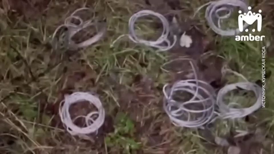 "Захотел дичи... извините, пожалуйста"