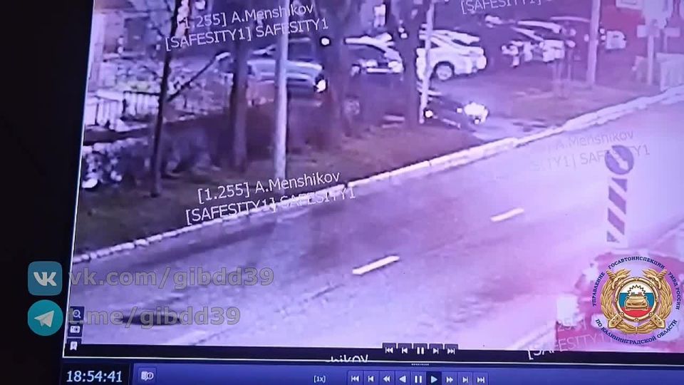 Столкновение автомобиля и самоката