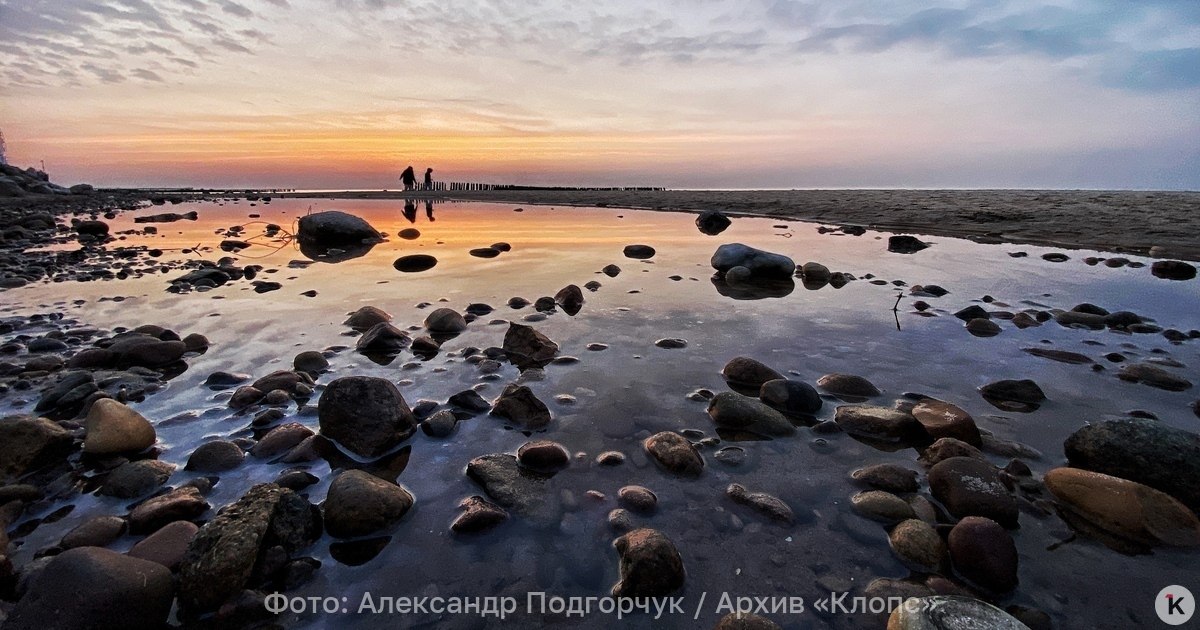 Пасмурно и дожди: погода в Калининградской области в субботу, 6 декабря