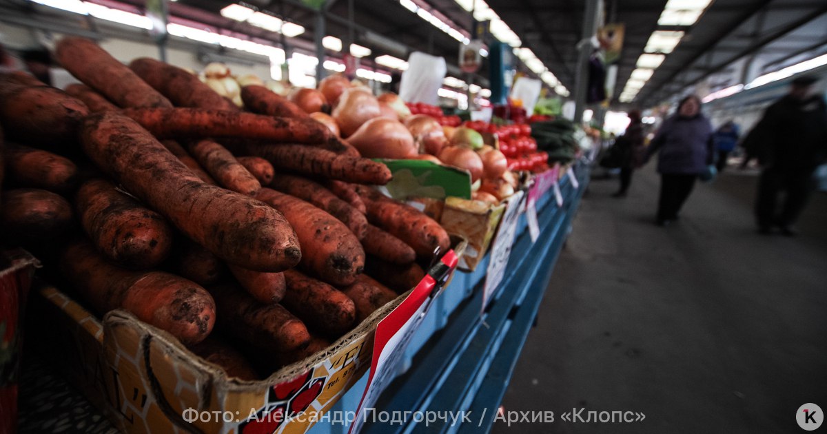 Губернатор Беспрозванных за год выделил калининградским овощеводам почти в 2,5 раза больше субсидий из бюджета