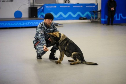 Сотрудники полиции посетили воспитанников областного Центра детского и молодежного отдыха «Жемчужина»