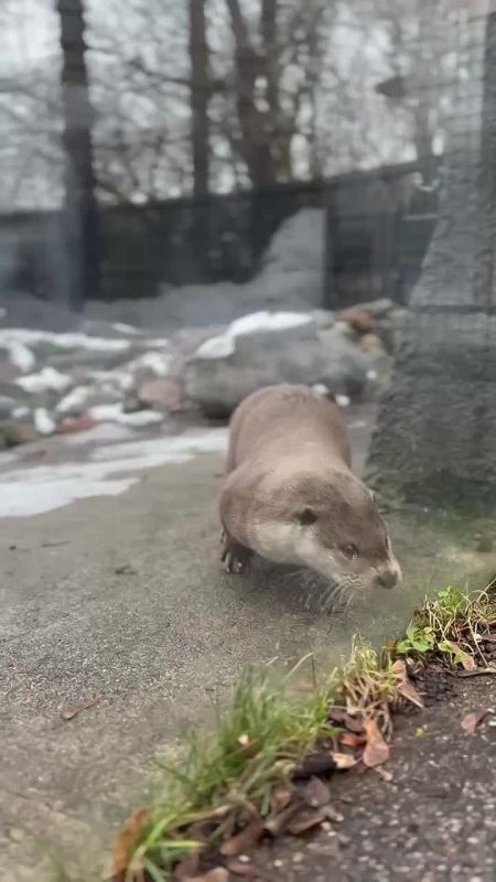 Когда съел все вкусное дома, и ищешь заначки сладостей во всех углах