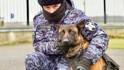 В Калининграде на стадионе «Ростех Арена» военнослужащие специального моторизованного полка Северо-Западного округа Росгвардии и сотрудники ОМОН «Град» Росгвардии обеспечили безопасность около 14 тысяч болельщиков...