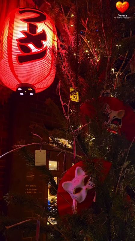 Погуляли по острову Канта и собрали для вас зимние локации