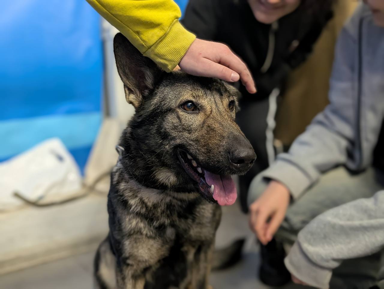 Сотрудники полиции посетили воспитанников областного Центра детского и молодежного отдыха «Жемчужина» Сотрудники полиции посетили воспитанников областного Центра детского и молодежного отдыха «Жемчужина»