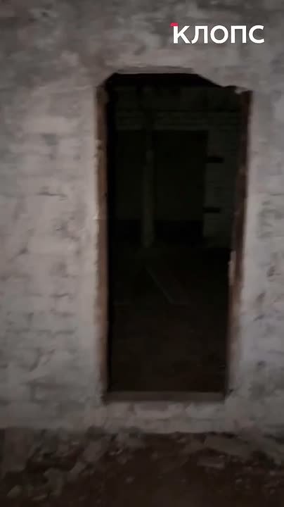 В бункере под Правдинском обнаружили «гобелен» из летучих мышей