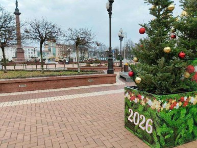 В Калининграде начали ставить новую ёлку с 6-этажный дом