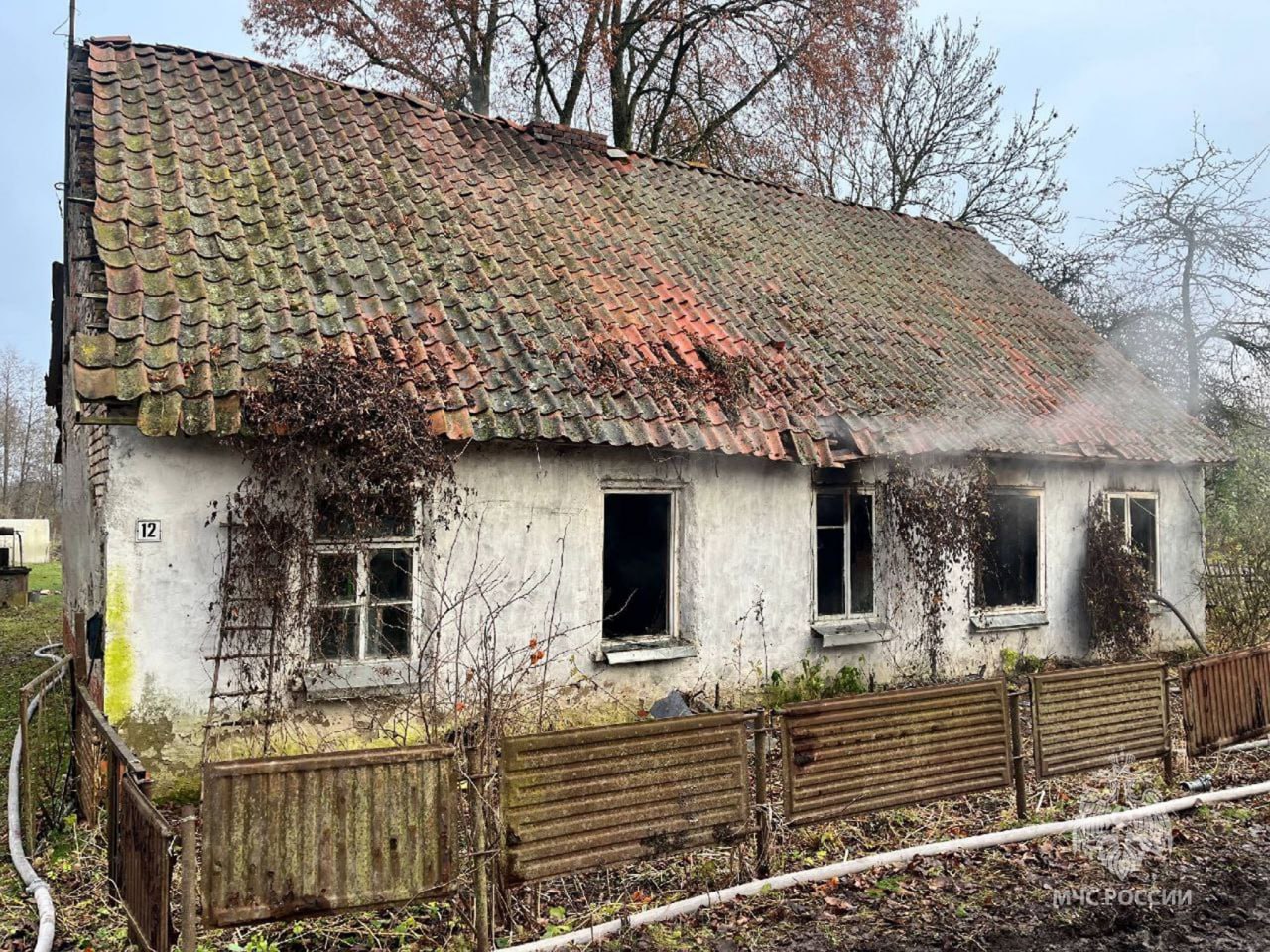 Сотрудники МЧС потушили пожар в Нестеровском округе и спасли кота