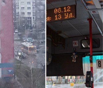 Один проскочил, второй — в дерево: в Калининграде автобусы застряли из-за ДТП на Минусинской