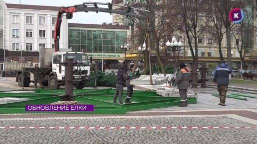 В центре Калининграда впервые за два десятилетия обновят новогоднюю ёлку
