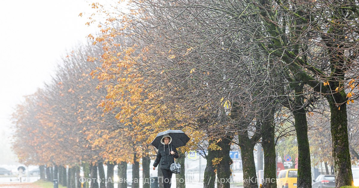 В среду дождь продолжит своё мокрое дело: прогноз погоды в Калининграде и области