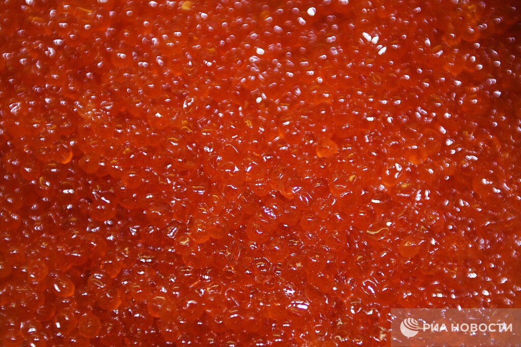 Россиянам хватит красной икры на Новый год