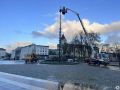 Торчит пока только макушка: в Калининграде главную городскую ёлку соберут за три дня
