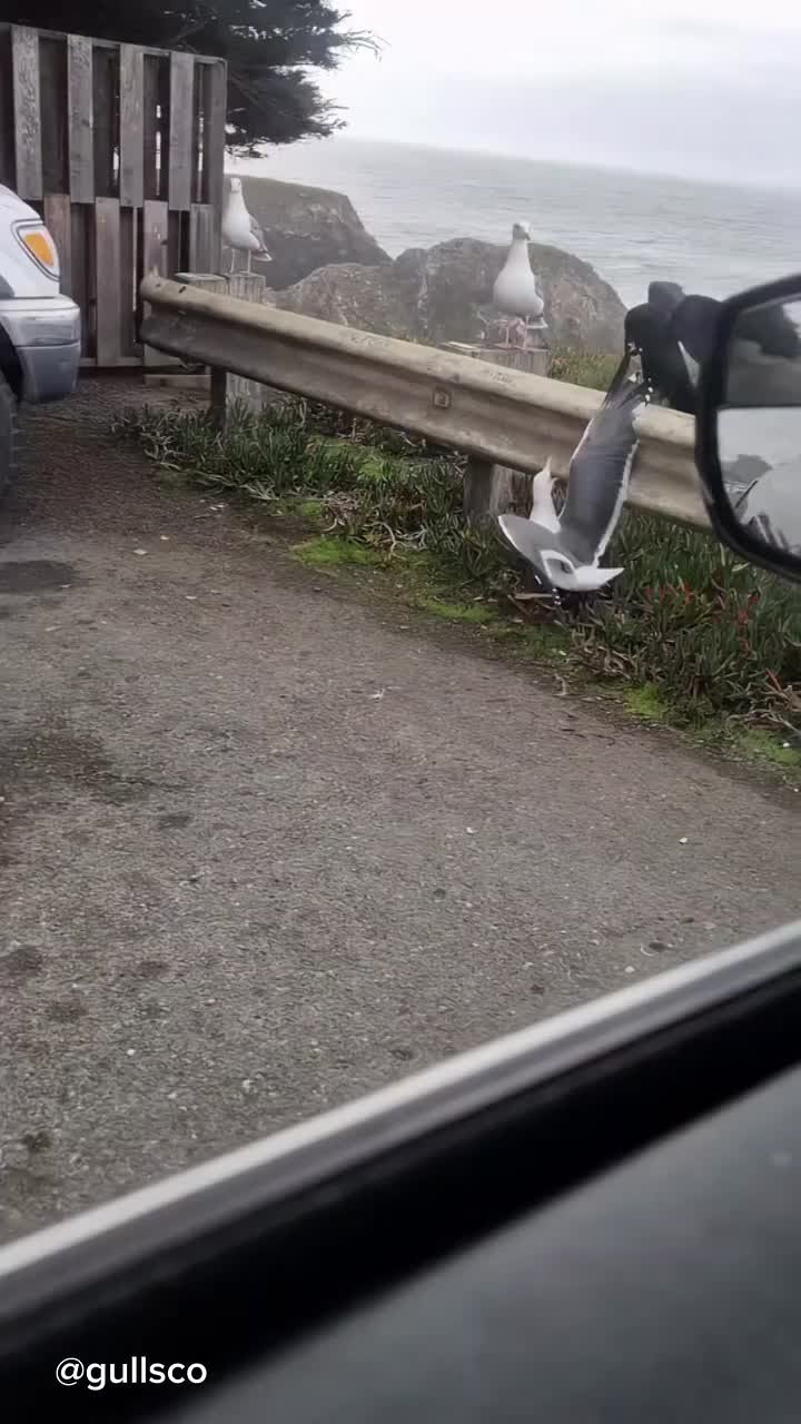 Когда хочешь на обед, но руководитель накидывает тебе срочных задач