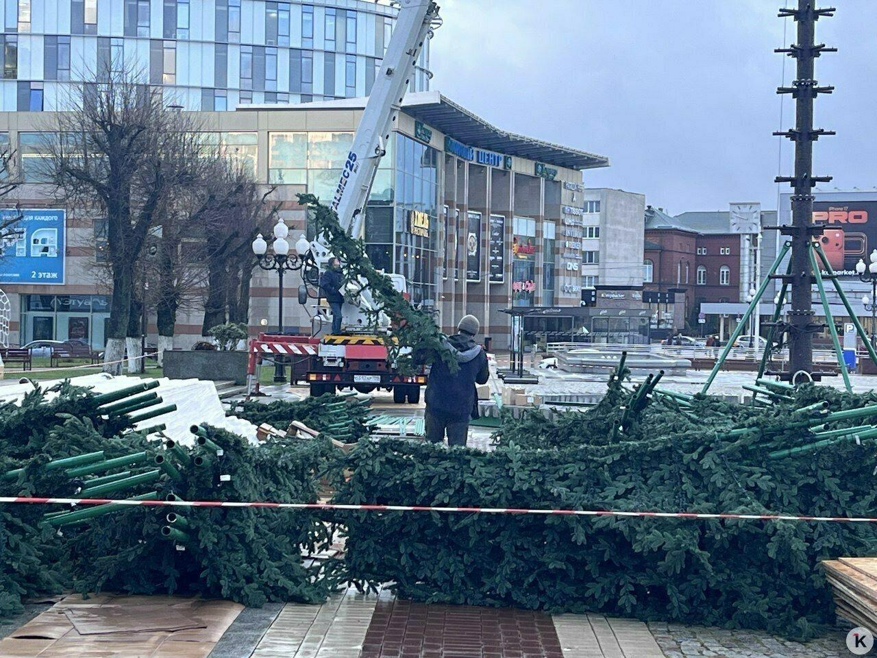 Торчит пока только макушка: в Калининграде главную городскую ёлку соберут за три дня Торчит пока только макушка: в Калининграде главную городскую ёлку соберут за три дня
