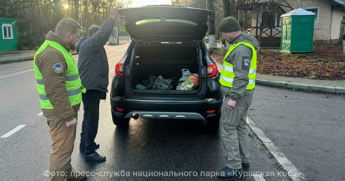 На Куршской косе объявили операцию «Ёлочка»