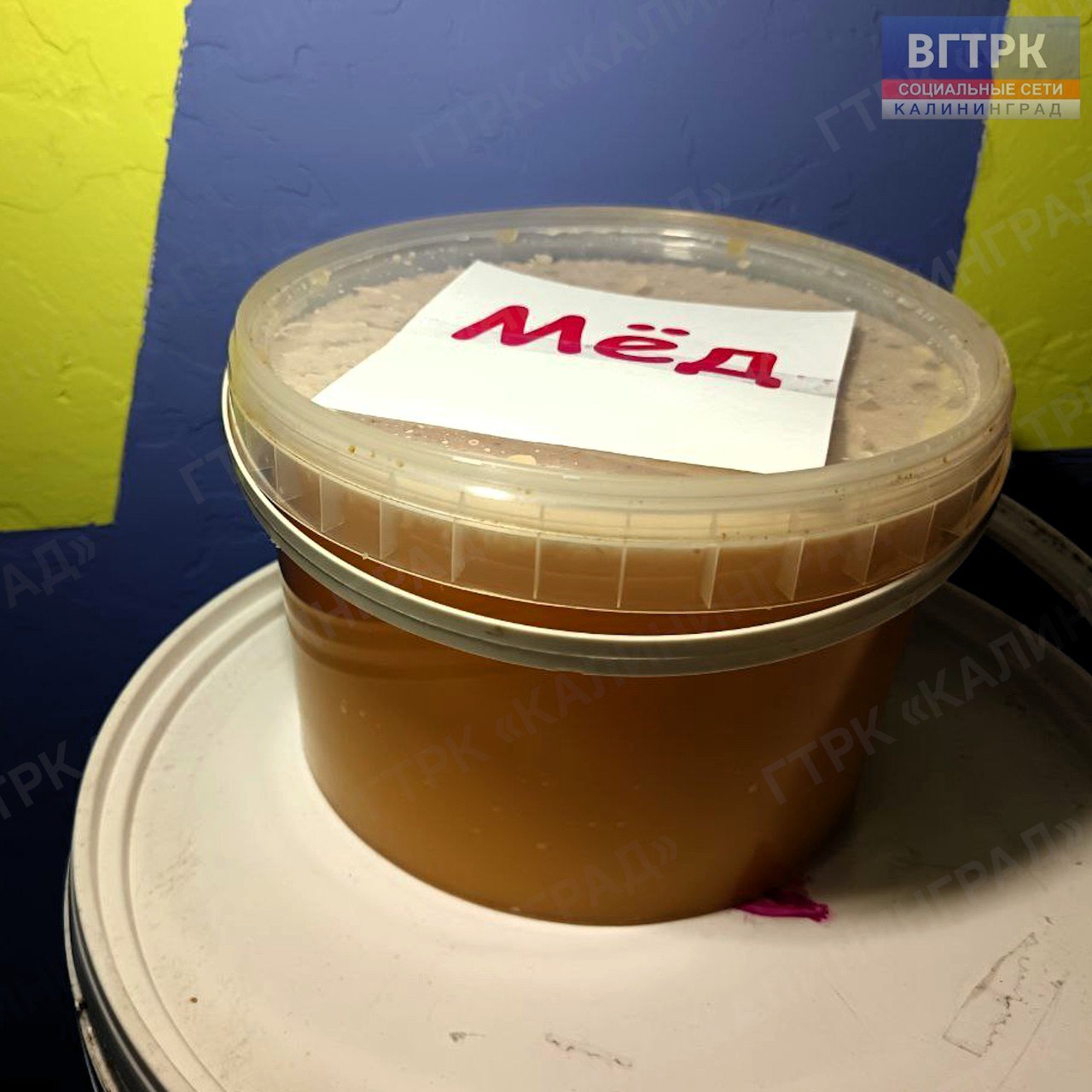 Местные гусевские пасечники передают бойцам СВО более 100 кг мёда