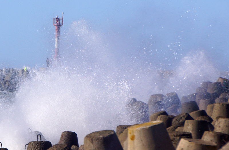 Калининградскую область предупредили о судьбоносном ветре