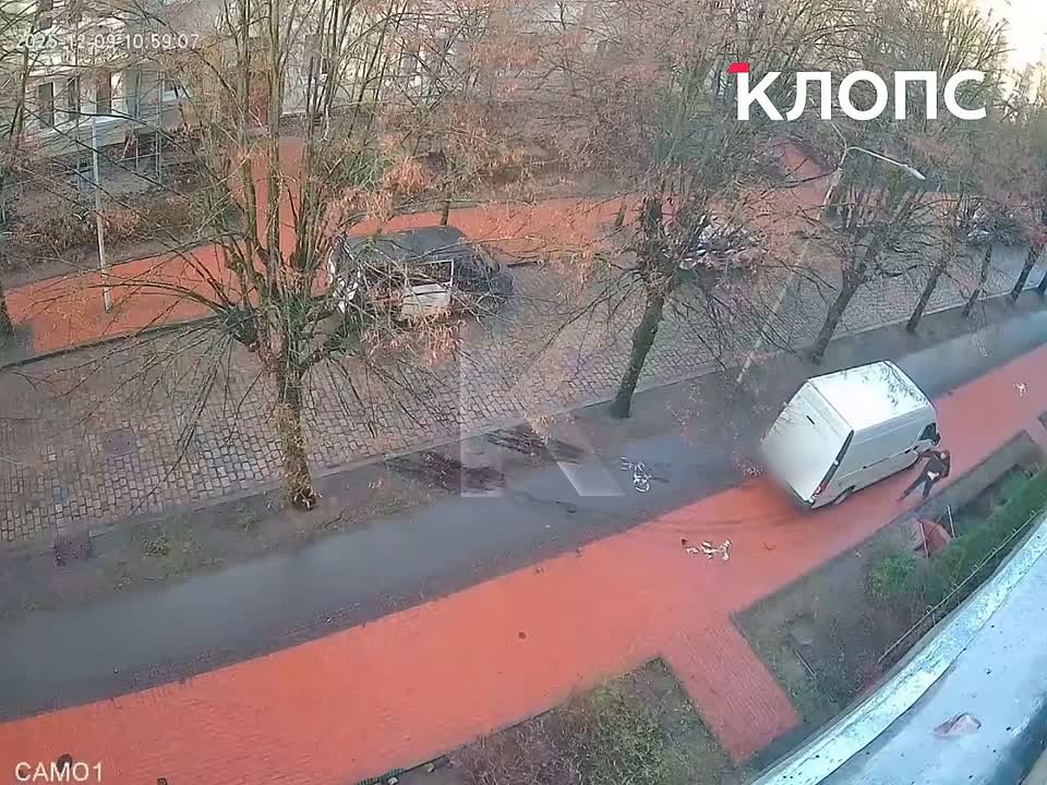 В центре Калининграда газоны раскатали в грязь: горожане жалуются властям, но получают отговорки