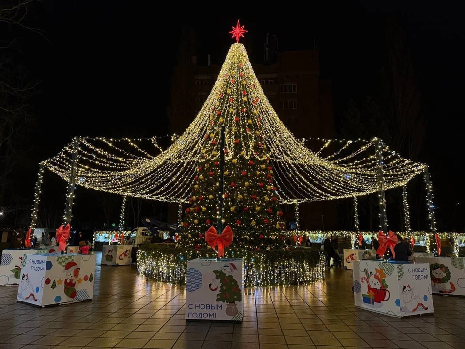 Названа дата открытия елки в Зеленоградске, которую украсили Вифлеемской звездой