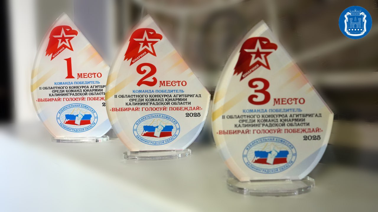 В калининградском Доме молодёжи прошёл финал областного конкурса агитбригад «Выбирай! Голосуй! Побеждай!» В калининградском Доме молодёжи прошёл финал областного конкурса агитбригад «Выбирай! Голосуй! Побеждай!»
