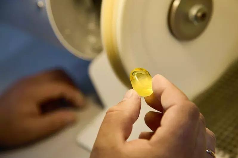 В Калининградской области создали конфеты, которые нельзя есть, но можно носить на ушах В Калининградской области создали конфеты, которые нельзя есть, но можно носить на ушах