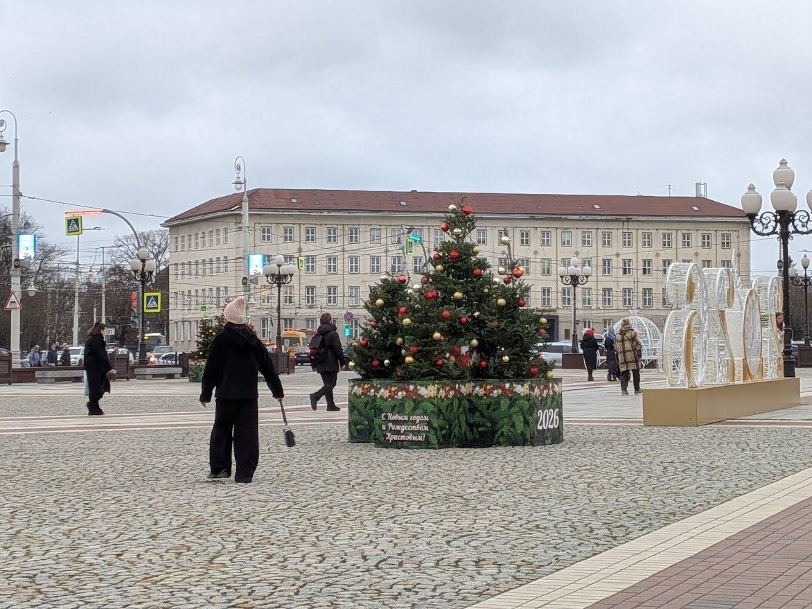 Особенно удачно композиция из новогодних пихт вписалась в оформление площади Победы Особенно удачно композиция из новогодних пихт вписалась в оформление площади Победы