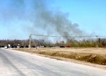 В Калининграде в пылающем камыше женщину настигла страшная смерть
