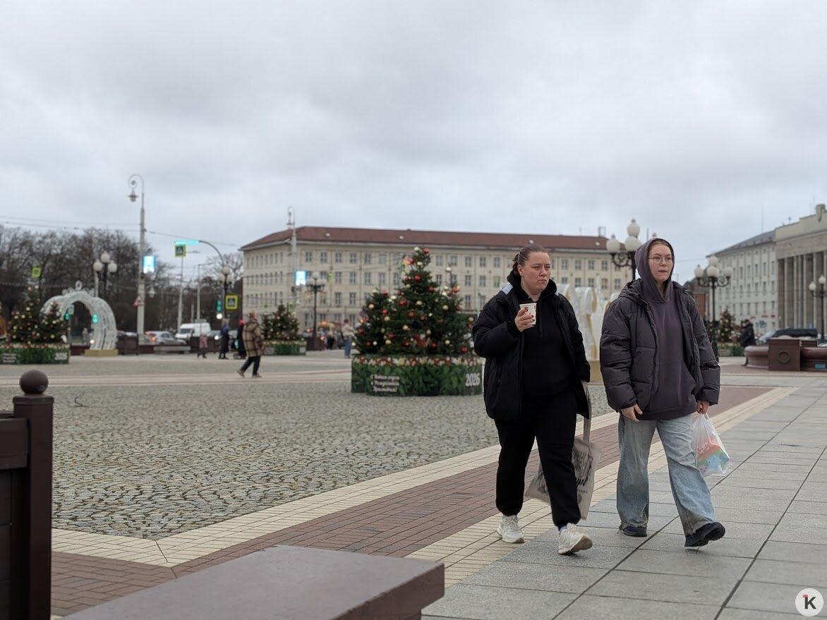 Особенно удачно композиция из новогодних пихт вписалась в оформление площади Победы Особенно удачно композиция из новогодних пихт вписалась в оформление площади Победы