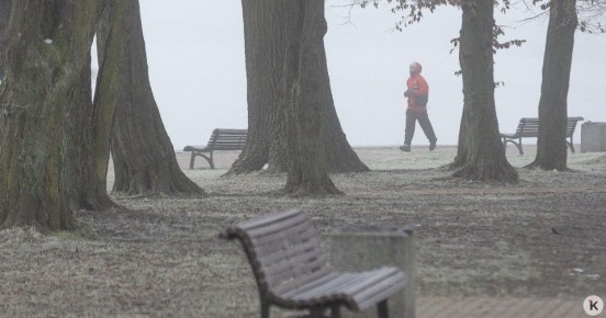 Погода в Калининграде и области в субботу