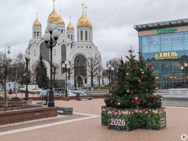 Особенно удачно композиция из новогодних пихт вписалась в оформление площади Победы