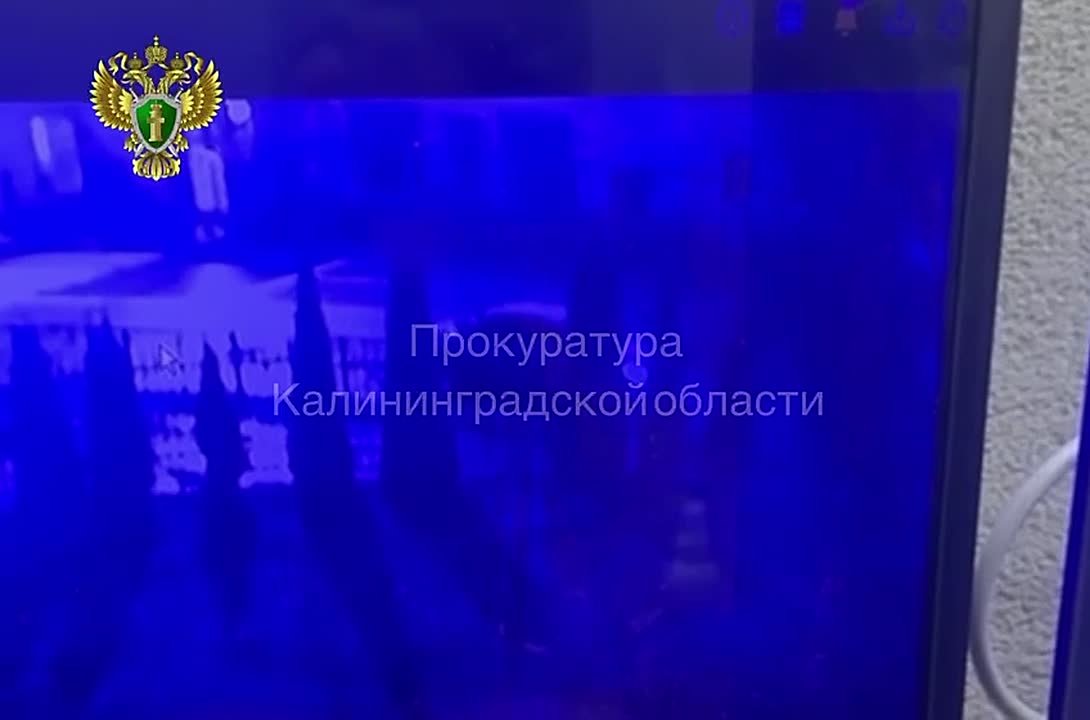 В Калининграде «Фольксваген» сбил ночью трёх студентов и скрылся, двое получили тяжёлые травмы