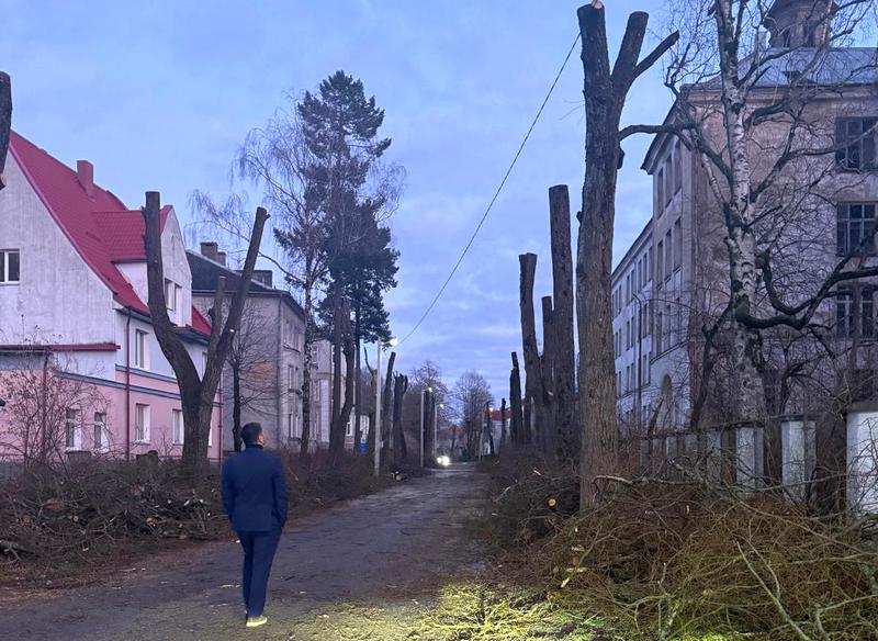 В Советске сделают зоны без окоса по опыту Черняховска