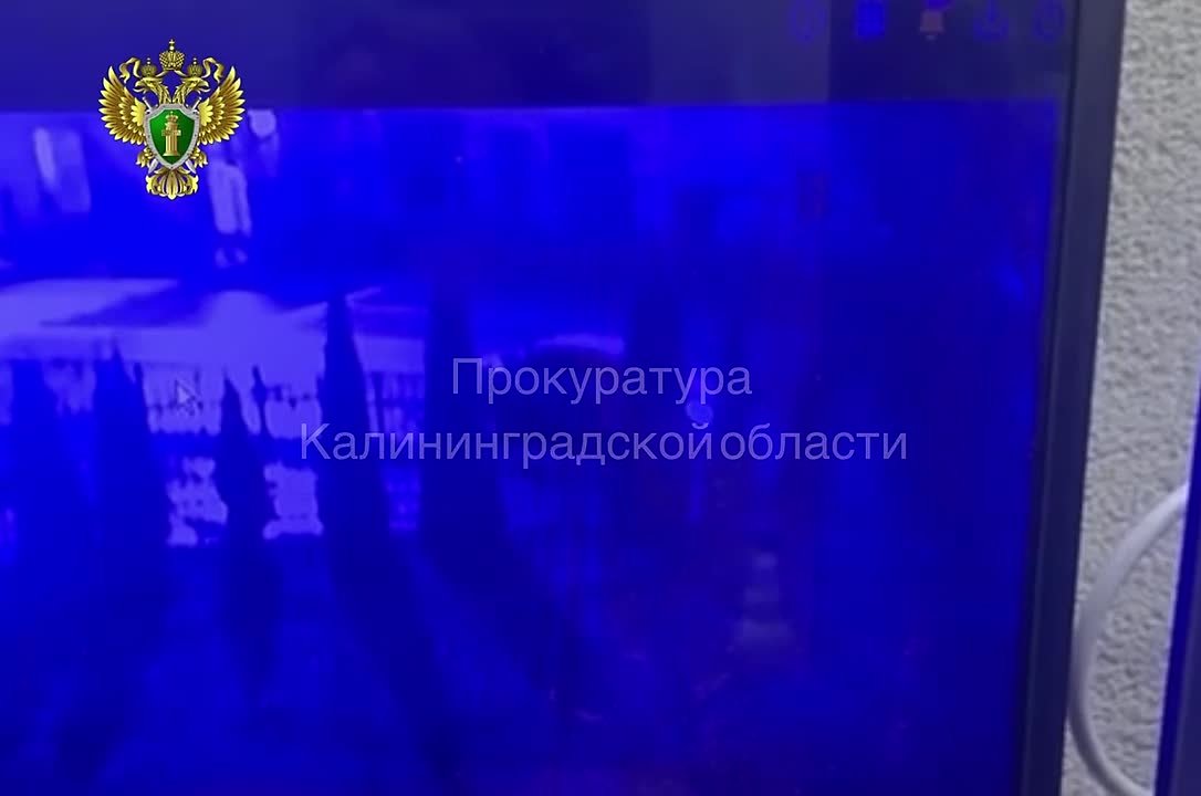 Прокуратура контролирует установление обстоятельств ДТП, в результате которого пострадали трое пешеходов