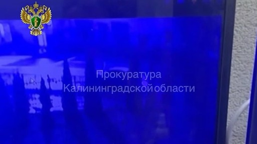 Водитель, который сбил студенток КГТУ на Горького, иностранец