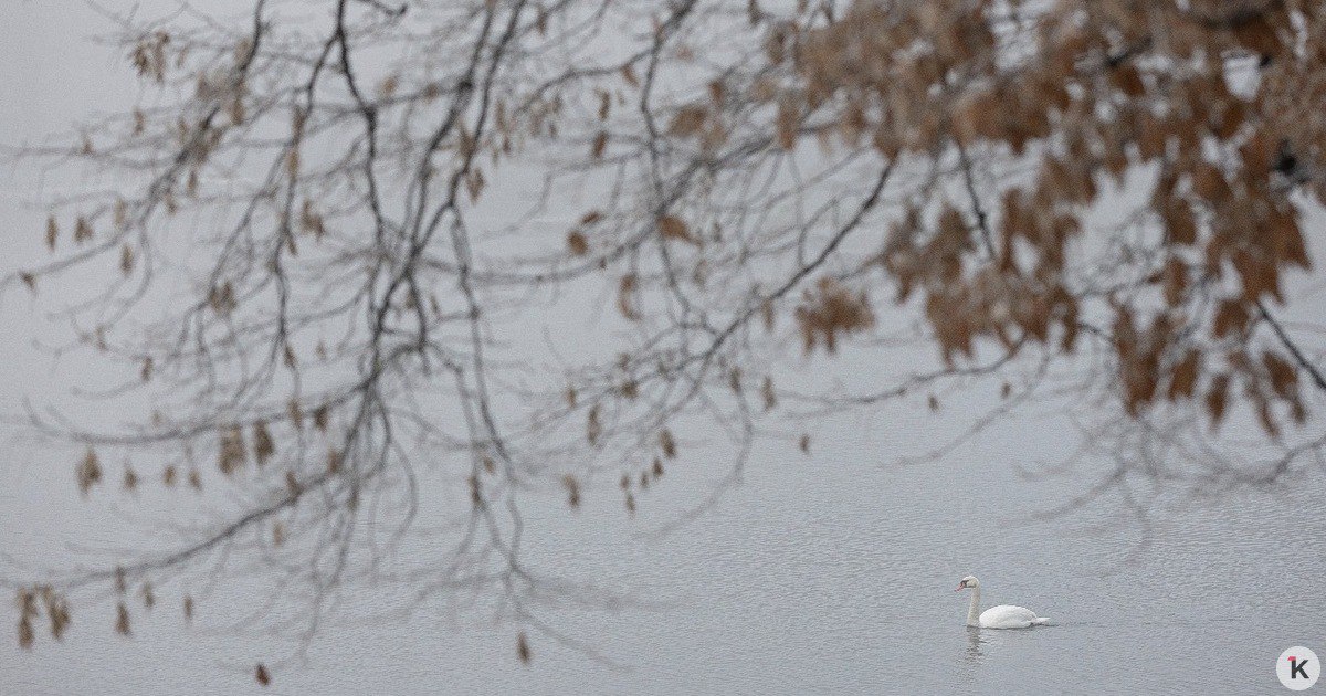 Погода в Калининграде и области в воскресенье