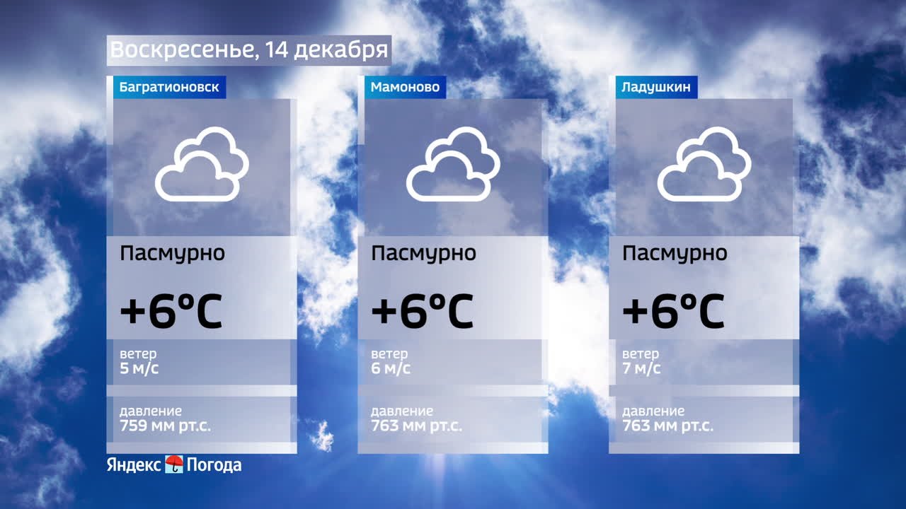 Погода на 14 декабря