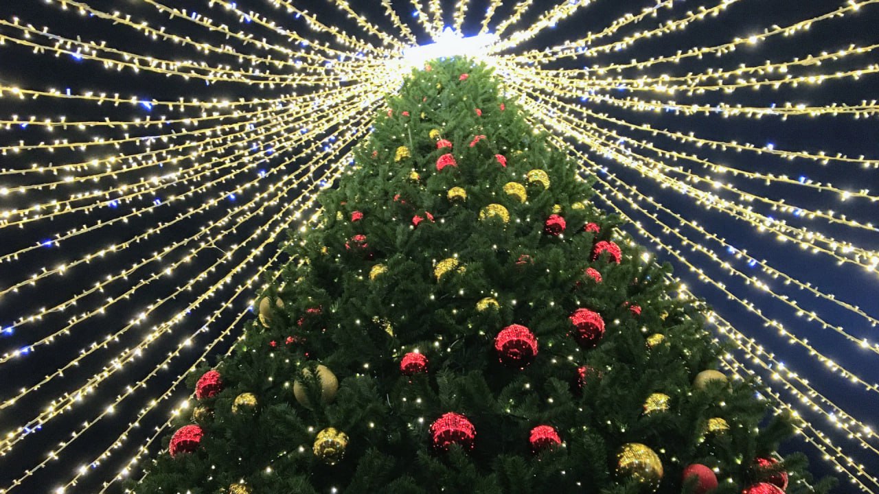 Калининградская область остается одним из самых популярных регионов для путешествий и входит в топ-20 направлений по количеству бронирований посуточных квартир на январские праздники