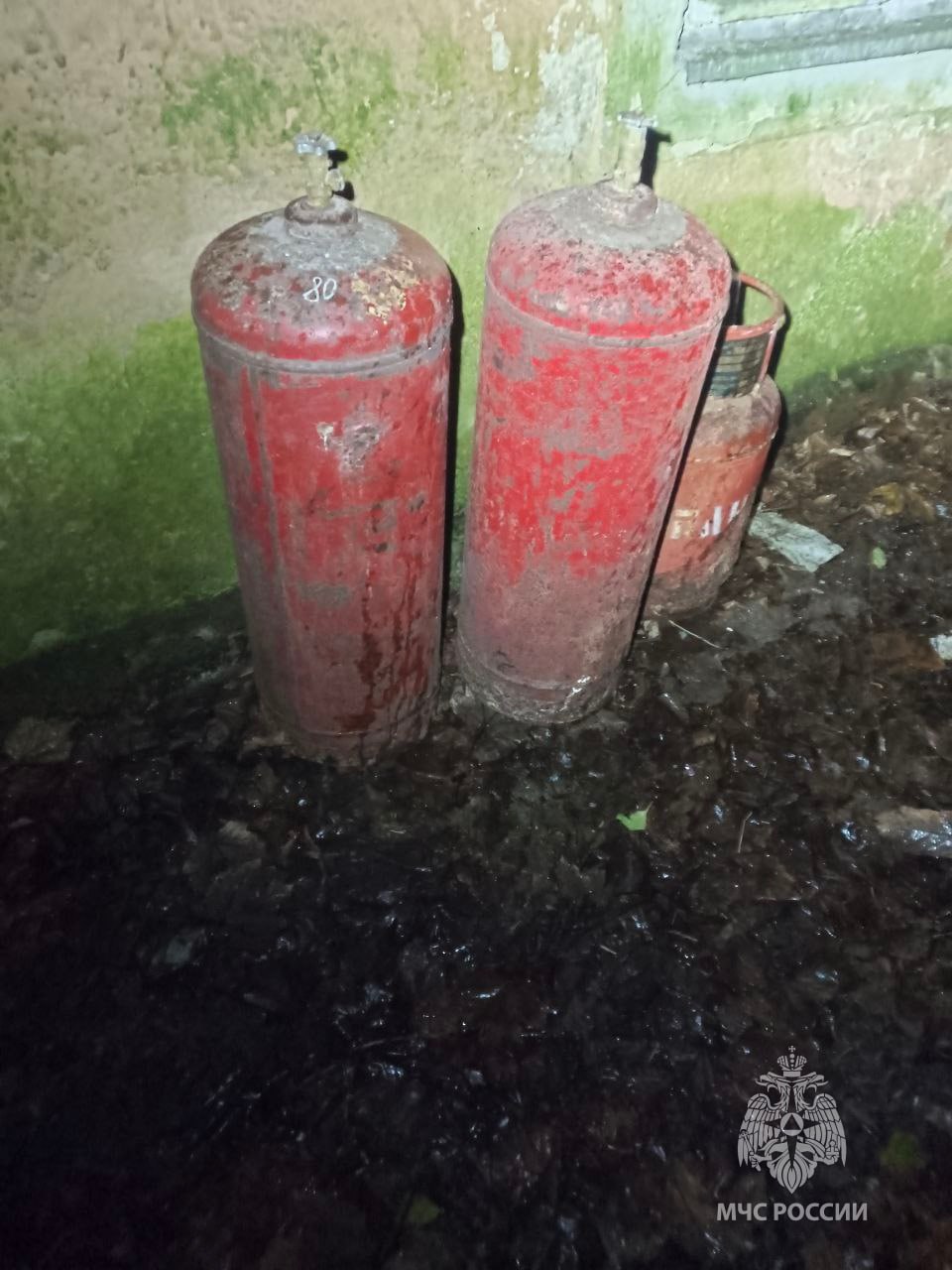 Сотрудники МЧС России ликвидировали возгорание в Светлогорске Сотрудники МЧС России ликвидировали возгорание в Светлогорске