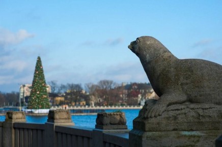В Калининградской области ожидается прохладная неделя без осадков