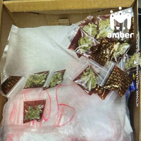 Парень заскочил в фастфуд на Калинина с полными карманами травы