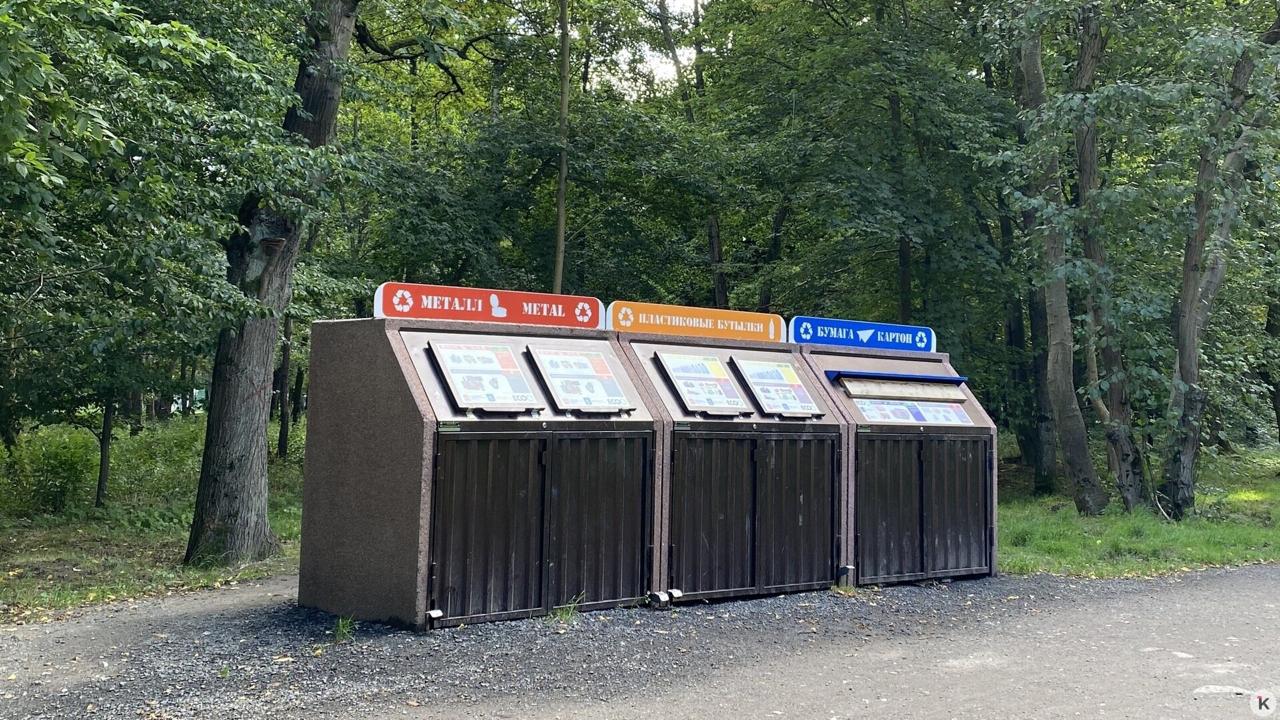 Калининградцам рассказали, куда идёт мусор из контейнеров для раздельного сбора