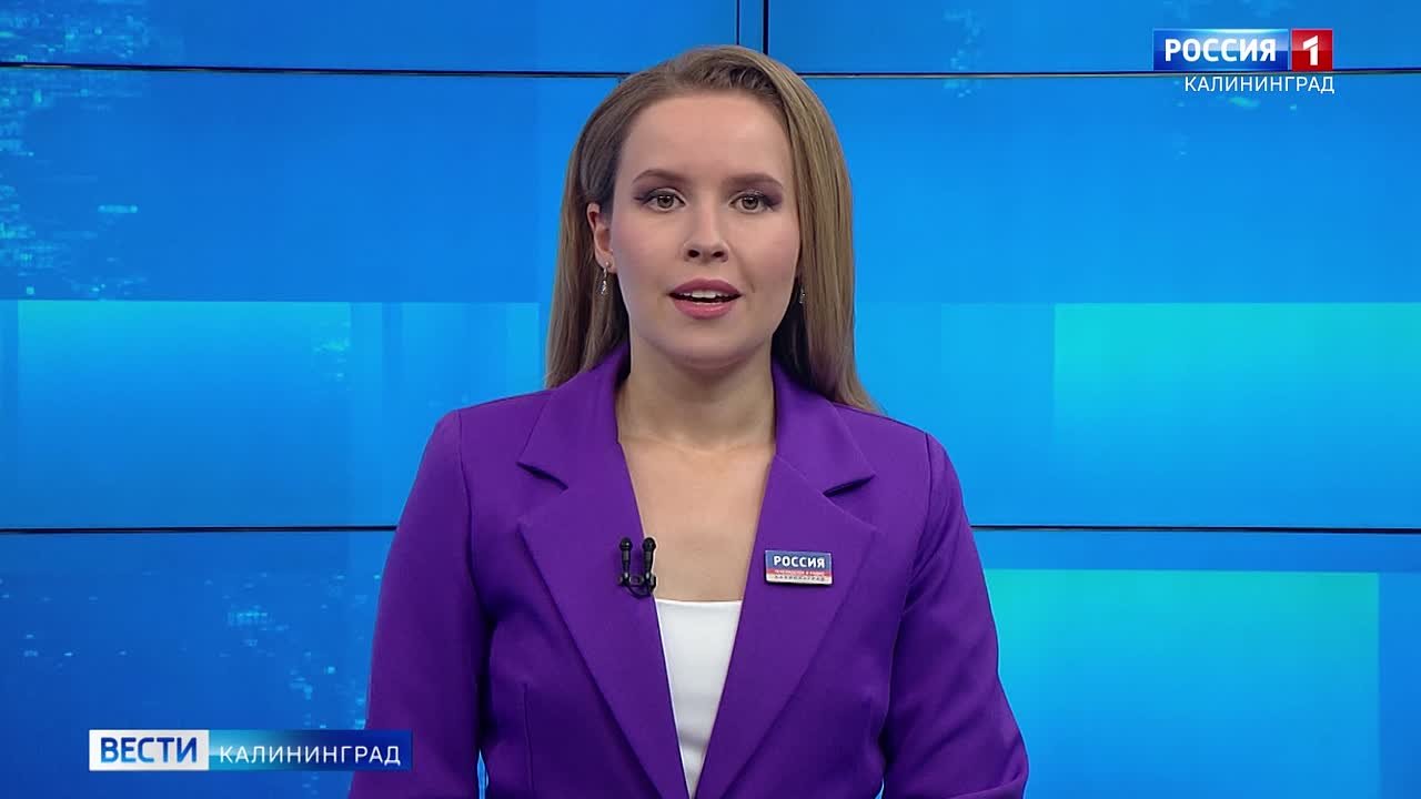 Ель, сосна или пихта. В Калининграде в преддверии праздников заработали ёлочные базары