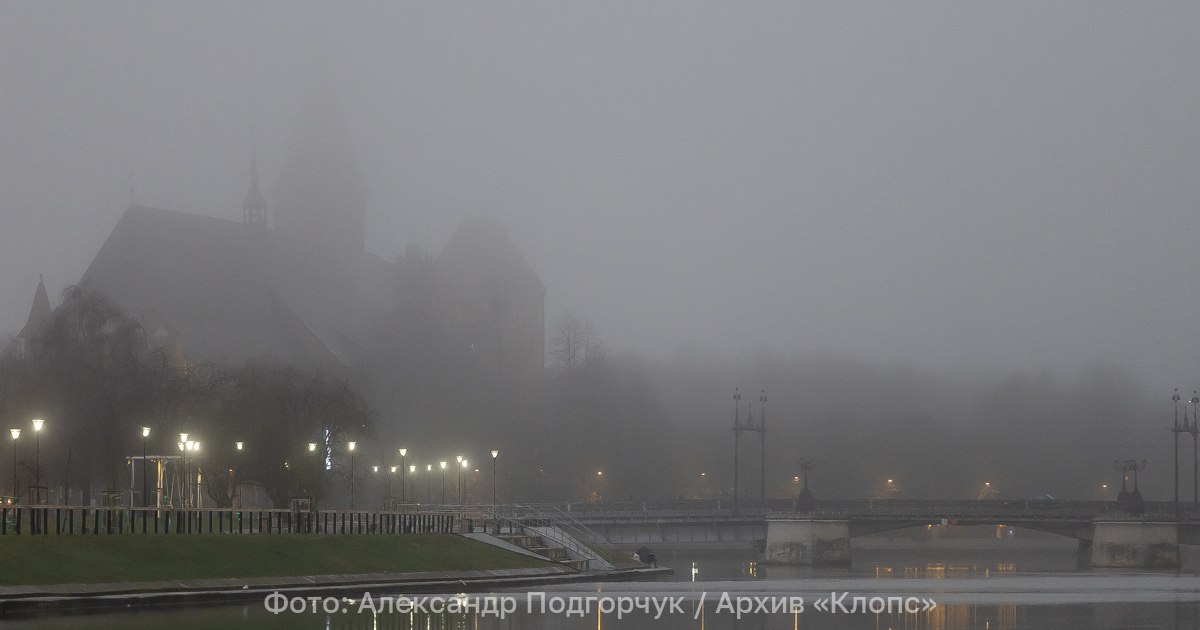 Туман, изморозь и воздух ниже 0: прогноз погоды в Калининграде и области на 17 декабря