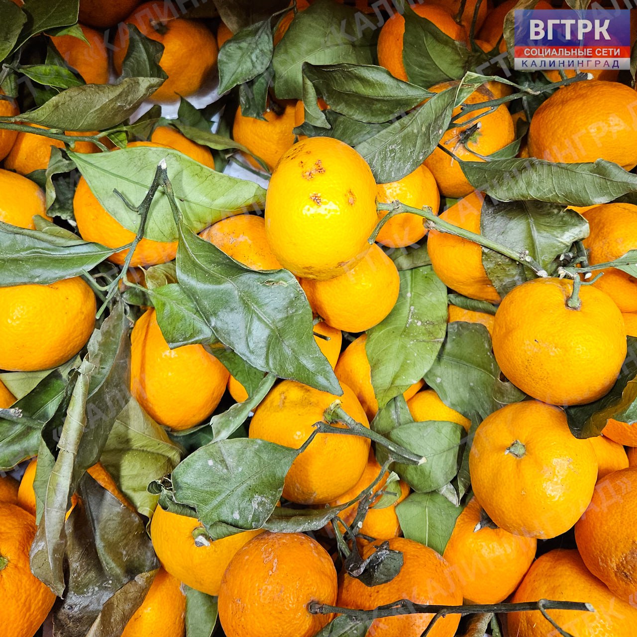 В преддверии Нового года продолжаем тему праздничного стола